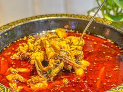 -蛙老爹·蜀香美蛙鱼头(王家湾店)