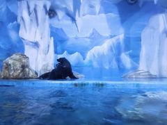 -多彩贵州城极地海洋世界