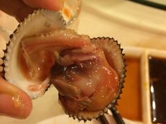 沈家门海鲜夜排挡1-67号档口-沈家门海鲜夜排档(东港店)