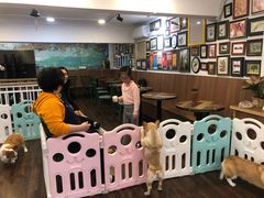 -柯斗斗主题餐厅·狗咖·围炉煮茶·茶饮(国瑞升平里店)