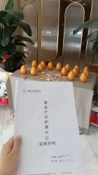 -蓓安月子会所