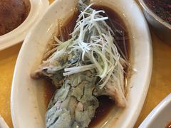 -胖大姐黄辣丁鱼庄(新津店)
