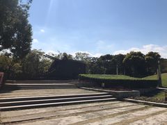 -吴淞炮台湾湿地森林公园烧烤区