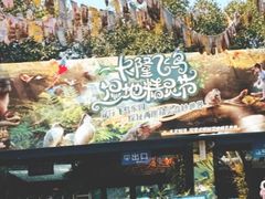 -广州长隆飞鸟乐园