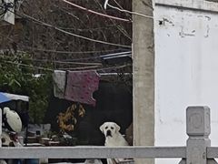-吃饭皇帝大(解放西路店)