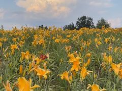 -汉长安城未央宫国家考古遗址公园