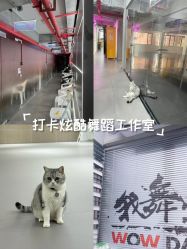 -我舞空间舞蹈培训