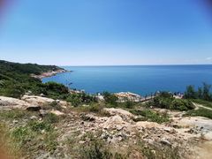 -广东惠东海龟国家级自然保护区