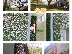 -文华公园(禅城区)