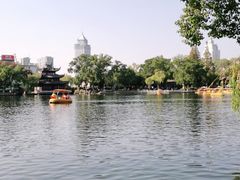 -月湖公园