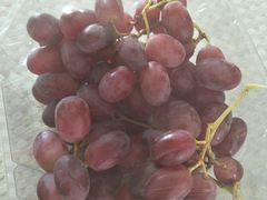 -鲜丰水果(九洲新世界花苑店)