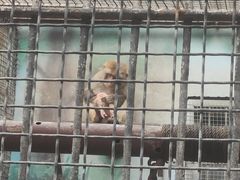 -保定市动物园