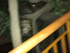 -阿斯牛牛·凉山菜(新会展店)