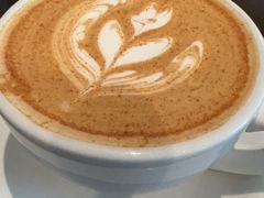 -MOLECULECOFFEE.MANDO 莫勒喝咖啡