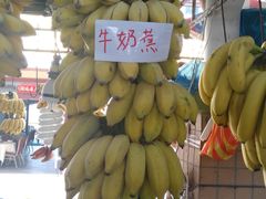 -大湾区中央湿地公园-十九涌