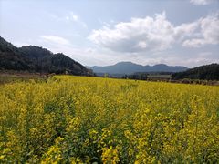 -溪悦渔庄(九龙湖店)