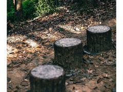 -白云山风景名胜区