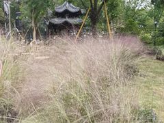 -墨池公园