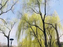 -湖畔居茶楼(湖滨店)