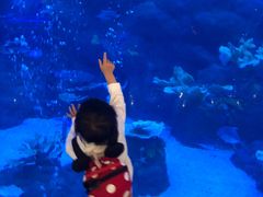 -成都浩海立方海洋公园