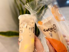 -野萃山·潮汕厚果汁(十亩地店)