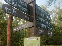 -合肥滨湖国家森林公园