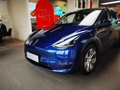 -TESLA 特斯拉(郑州正弘城体验店)