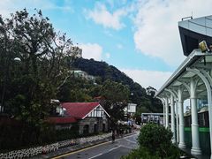 -太平山顶