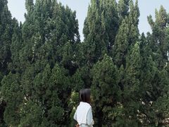-南沙蒲洲花园