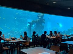 大堂-海棠湾洲际-涛·海底餐厅·美人鱼·自助餐·海底隧道