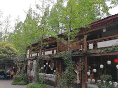 -青城甲(青城山店)