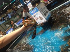 -盒马鲜生(曜一城店)