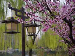 -木塔寺遗址生态公园