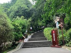 -伯先公园