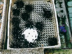 -霞涌市场海鲜摆卖区