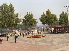 -白洋淀景区