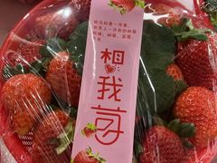 -南京众彩农副产品配送有限公司