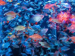 -成都浩海立方海洋公园