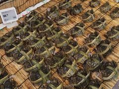 -盒马鲜生(莱蒙都会店)
