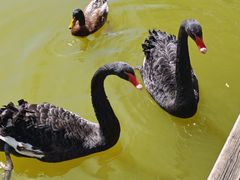 -蓝地时尚庄园(北京清河营地铁站店)