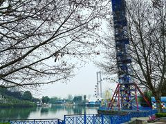 -成都欢乐谷