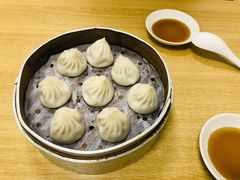 鲜肉小笼包-祥记汤圆(东宝兴路店)