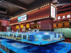 -张家卫·阳江菜·小海鲜(肥婆湾桥店)