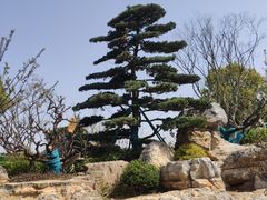 -牛首山文化旅游区