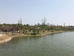 -炎帝陵景区
