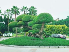 -嘉和K6温泉微度假