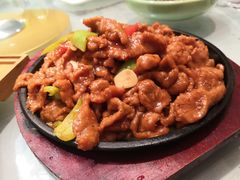 -正阳春烤鸭(华捷道店)