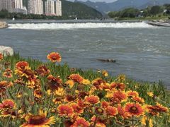 -门城湖公园