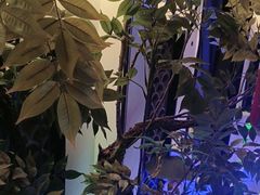 -庭院江南菜•烤鸭•非遗传承(丰台总部基地店)