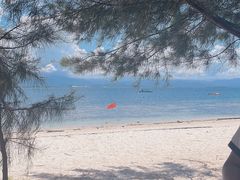 -东姑阿都拉曼海洋公园